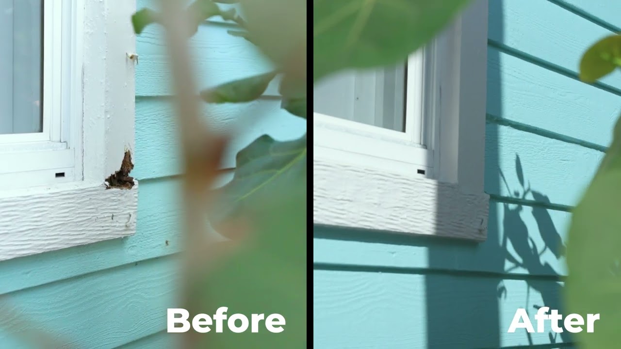 Before & After - Treasure Island